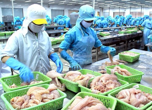 Seafood export turnover likely to reach 7.9 billion USD in 2014 - ảnh 1